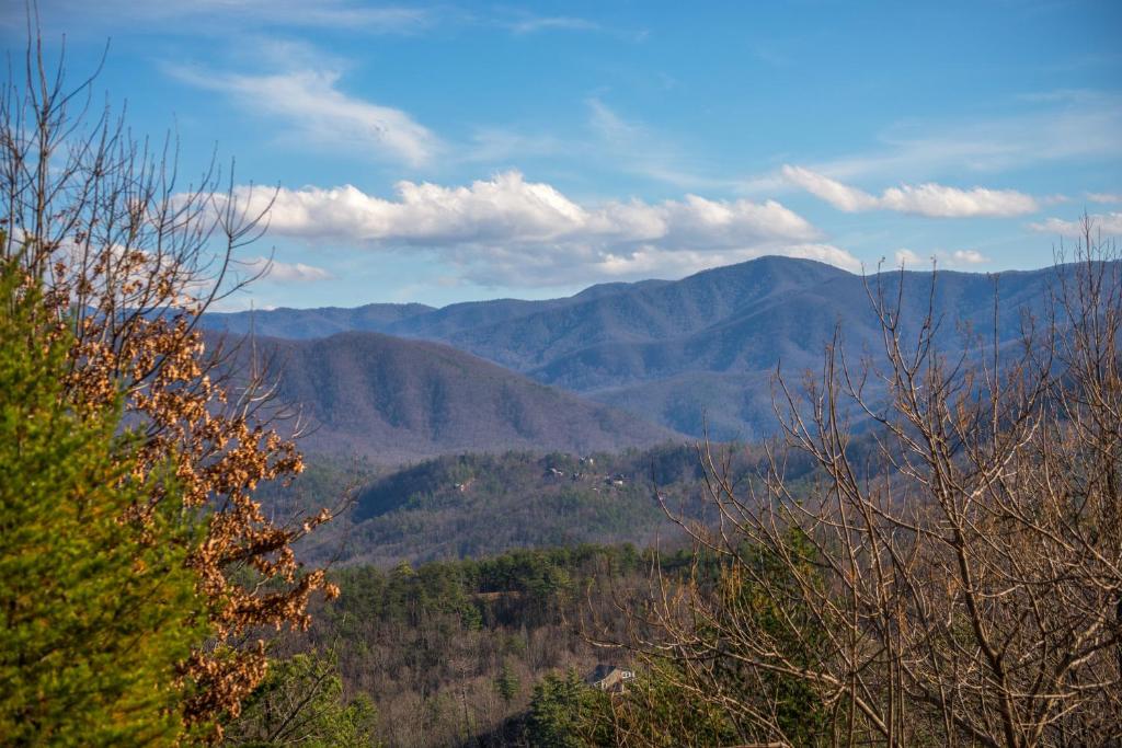 Papaw's Bear Den image 25
